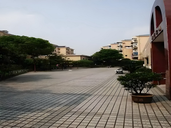 入户深圳要什么材料_《扫毒风暴》大结局王奇令人失望！林强峰的牺牲，与她有隐秘关联 相较往年仅有的波动